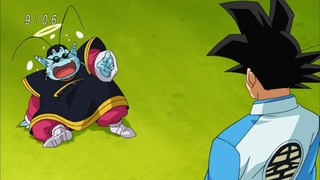 cap (16)
