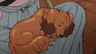 cap (47)