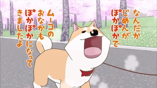 muco (35)