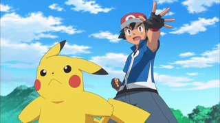 xy (152)