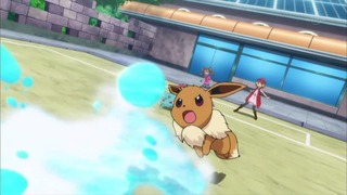 xy (163)