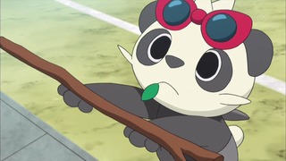 xy (23)