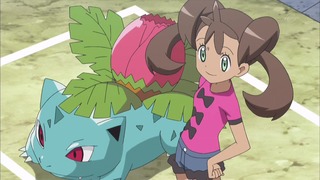 xy (212)