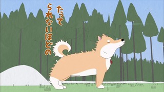 muco (43)