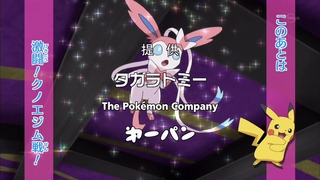 poke (12)