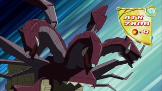 cap (249)