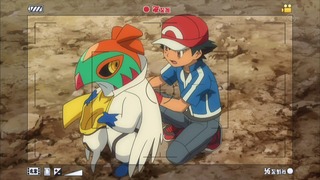 xy (249)