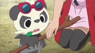 xy (137)