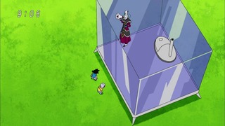 cap (19)
