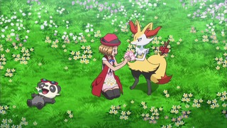 xy (30)