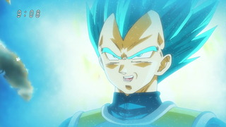 cap (13)