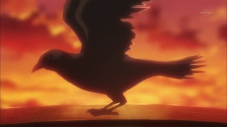 cap (245)