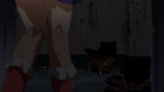 cap (34)