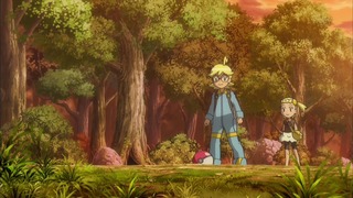 xy (222)