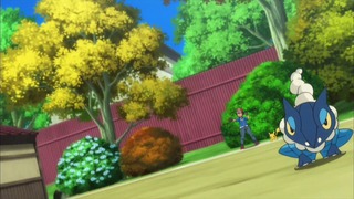 xy (140)
