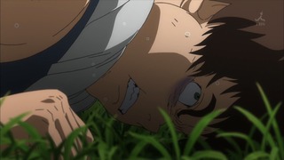 cap (264)
