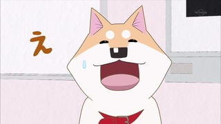 muco (12)