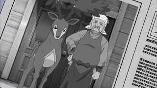 xy (73)