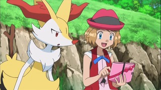 xy (4)