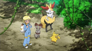 xy (34)