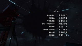 cap (219)