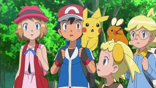 xy (172)