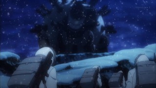 cap (16)