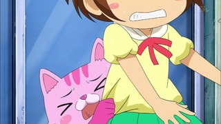 cap (13)