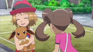 xy (34)