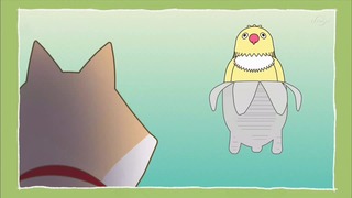 muco (46)