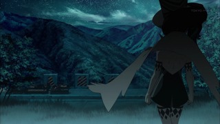 cap (308)