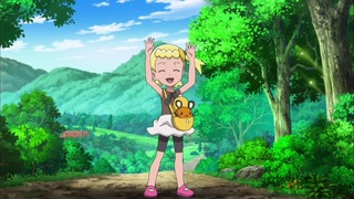 xy (148)