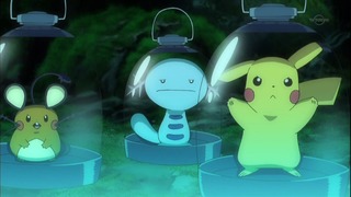 xy (21)