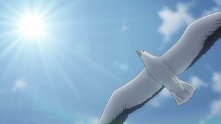 cap (158)