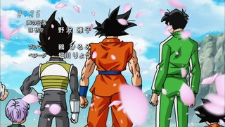 cap (114)
