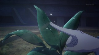 cap (300)