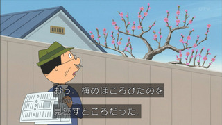 sazae-135