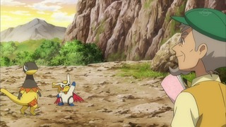 xy (255)
