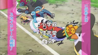xy (20)