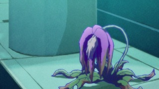 cap (169)