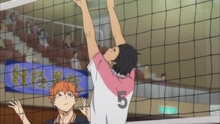 cap (146)