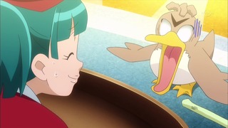 xy (48)
