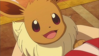 xy (220)