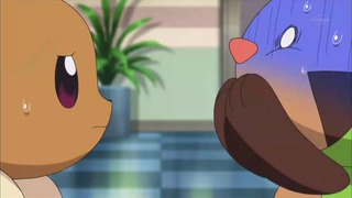 xy (104)