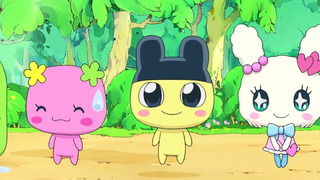 tama29_26