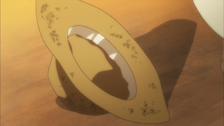 cap (38)