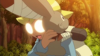 xy (225)