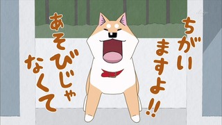 muco (51)
