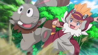 xy (58)