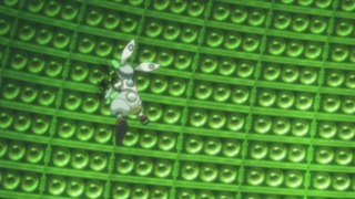 cap (157)